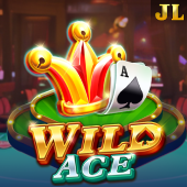 Wild Ace 555bmw apk slot